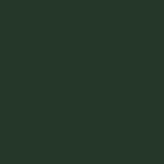 Painted Conifer Painted Conifer