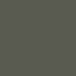 Painted Moss Green